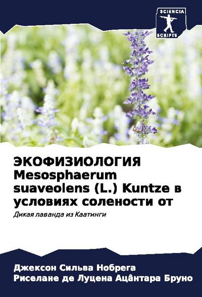 JeKOFIZIOLOGIYa Mesosphaerum suaveolens (L.) Kuntze w uslowiqh solenosti ot
