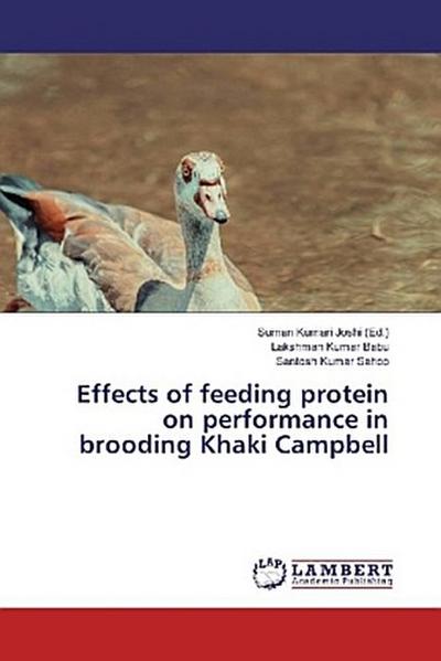 Effects of feeding protein on performance in brooding Khaki Campbell
