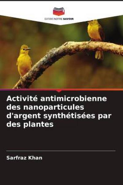 Activité antimicrobienne des nanoparticules d’argent synthétisées par des plantes
