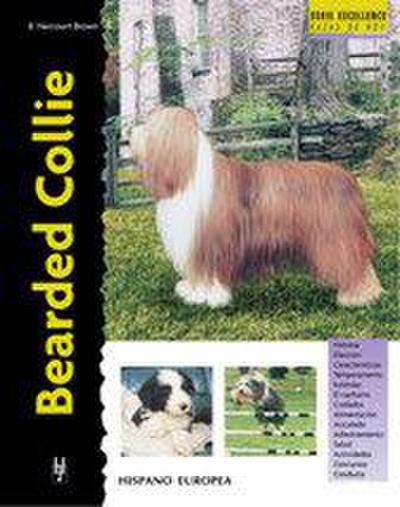 Bearded Collie