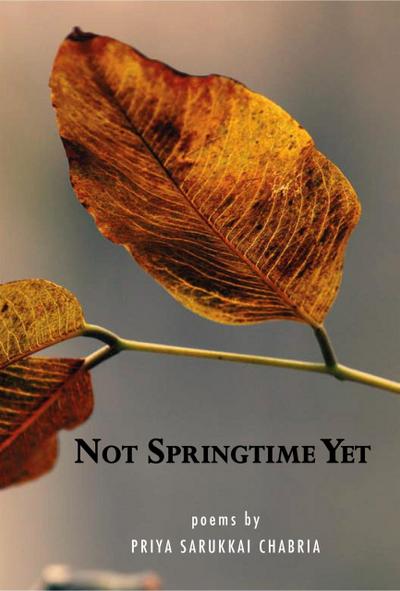 Not Springtime Yet