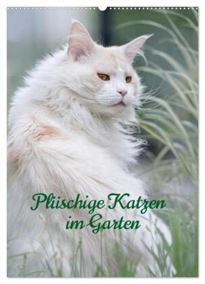 Plüschige Katzen im Garten (Wandkalender 2026 DIN A2 hoch), CALVENDO Monatskalender