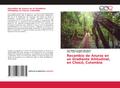 Recambio de Anuros en un Gradiente Altitudinal, en Chocó, Colombia