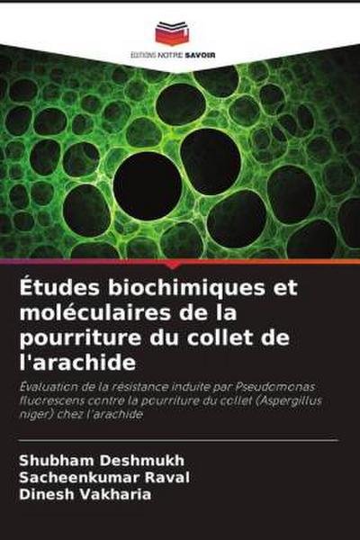 Études biochimiques et moléculaires de la pourriture du collet de l’arachide