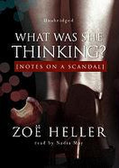 What Was She Thinking?: Notes on a Scandal
