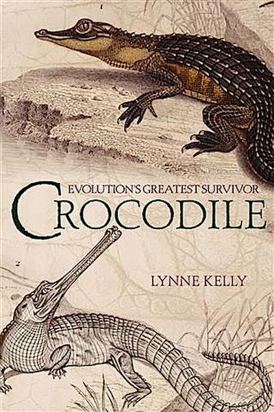 Crocodile