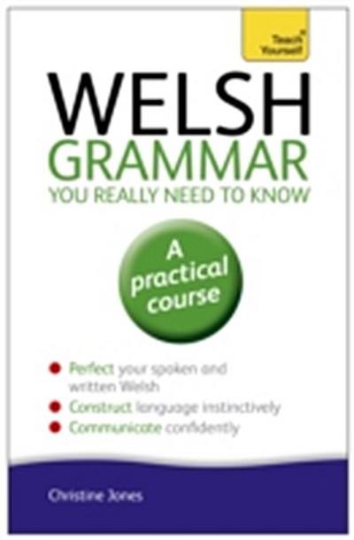 Welsh Grammar You Really Need to Know: Teach Yourself