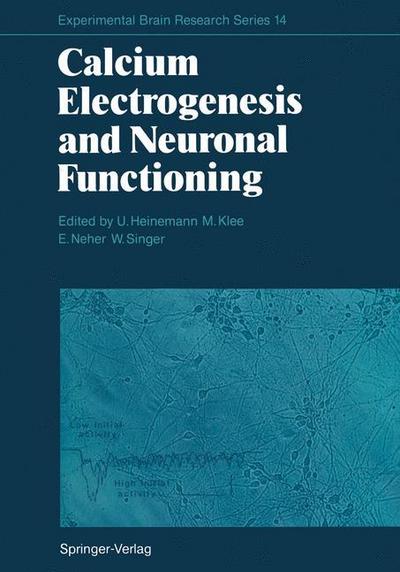 Calcium Electrogenesis and Neuronal Functioning