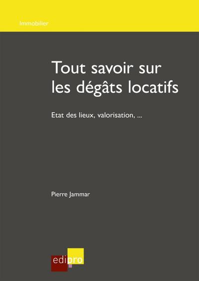 Tout savoir sur les dégâts locatifs