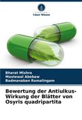 Bewertung der Antiulkus-Wirkung der Blätter von Os