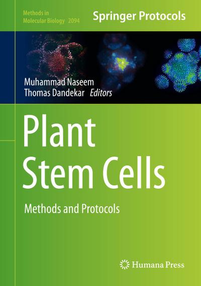 Plant Stem Cells