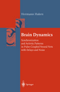 Brain Dynamics