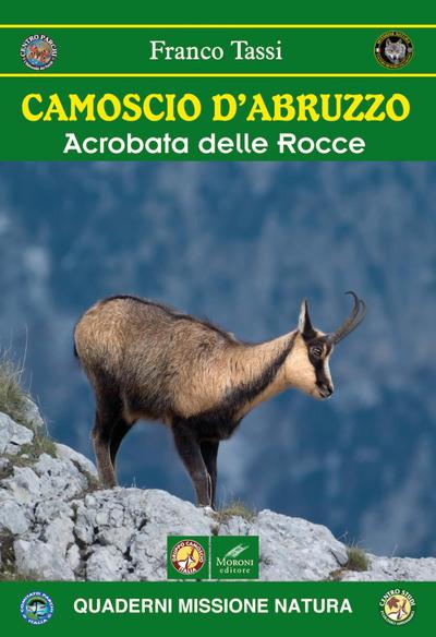 Camoscio d’Abruzzo. Acrobata delle rocce