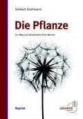 Die Pflanze