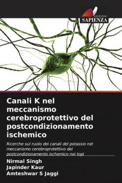 Canali K nel meccanismo cerebroprotettivo del postcondizionamento ischemico