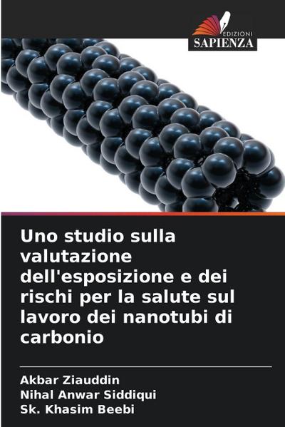 Uno studio sulla valutazione dell’esposizione e dei rischi per la salute sul lavoro dei nanotubi di carbonio