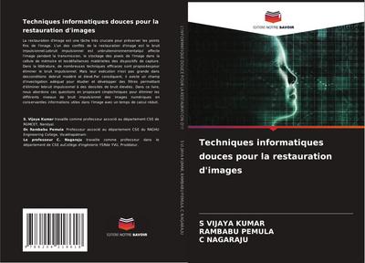 Techniques informatiques douces pour la restauration d’images