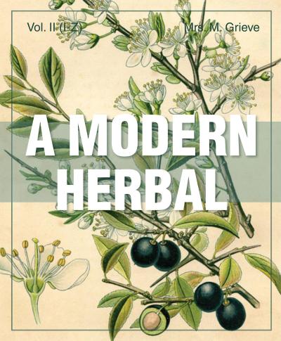 A Modern Herbal (Volume 2, I-Z and Indexes)