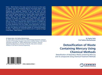 Detoxification of Waste Containing Mercury Using Chemical Methods