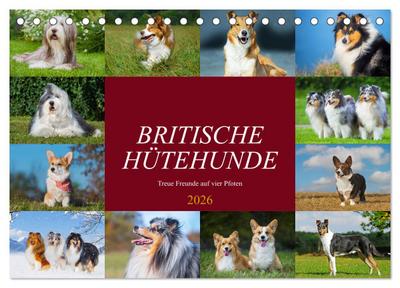 Britische Hütehunde - Treue Freunde auf vier Pfoten (Tischkalender 2026 DIN A5 quer), CALVENDO Monatskalender
