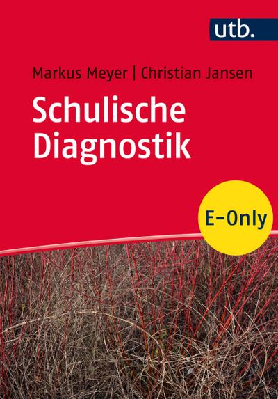 Schulische Diagnostik
