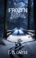 The Frozen Bridge (A Detective Rooks Series, #1)