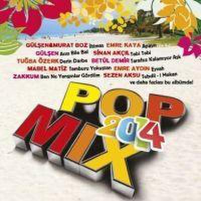 Pop Mix 2014