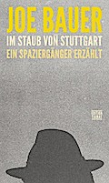 Im Staub von Stuttgart: Ein Spaziergänger erzählt (Critica Diabolis)