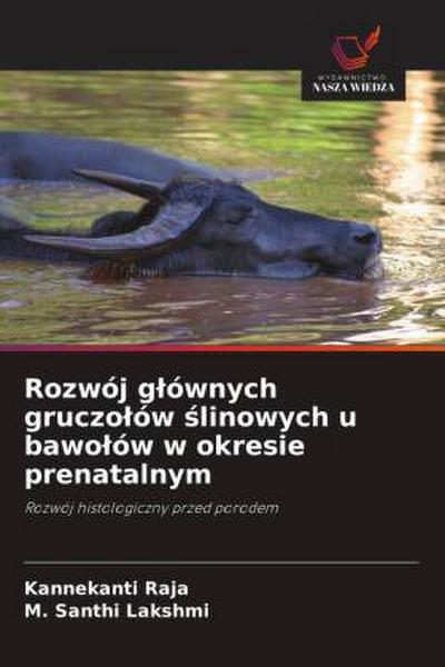 Rozwój g¿ównych gruczo¿ów ¿linowych u bawo¿ów w okresie prenatalnym