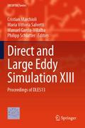 Direct and Large Eddy Simulation XIII