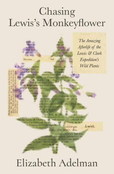 Chasing Lewis’s Monkeyflower