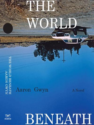 The World Beneath: A Novel