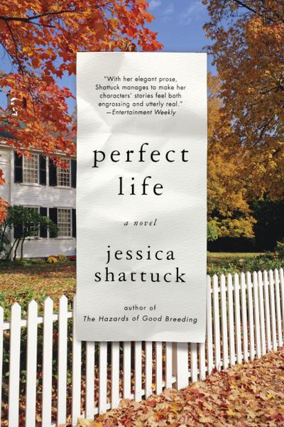 Perfect Life: A Novel