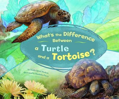 What’s the Difference Between a Turtle and a Tortoise?