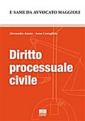 Diritto processuale civile
