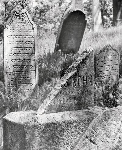 Der jüdische Friedhof von Mikulov / Zidovsky Hrbitov v Mikulove