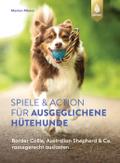 Spiele und Action für ausgeglichene Hütehunde