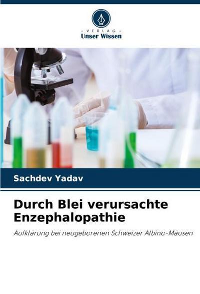 Durch Blei verursachte Enzephalopathie