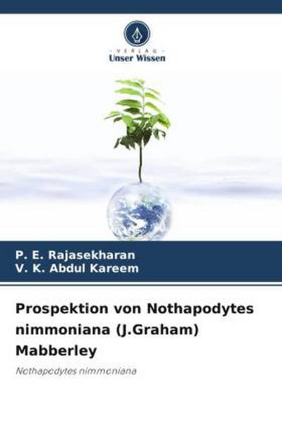 Prospektion von Nothapodytes nimmoniana (J.Graham) Mabberley