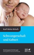 Schwangerschaft und Geburt (Bindungspsychotherapie