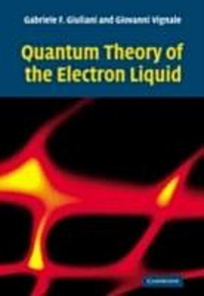 Quantum Theory of the Electron Liquid