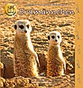 Erdmännchen