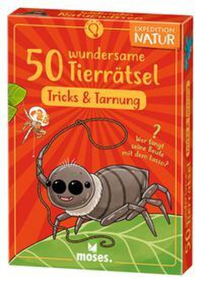 50 Tiere der Nacht