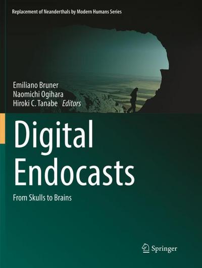 Digital Endocasts
