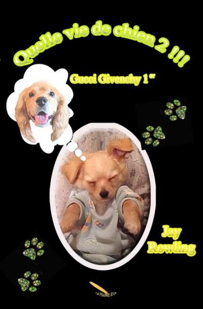 Quelle vie de chien 2
