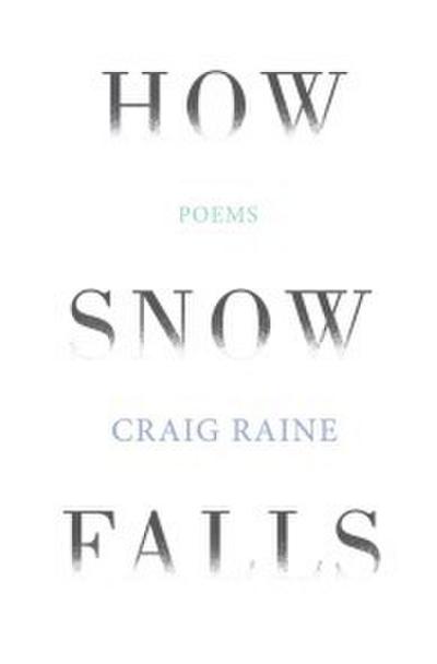 How Snow Falls