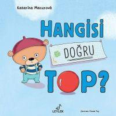 Hangisi Dogru Top