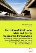 Corrosion of Steel Under Mass and Energy Transport