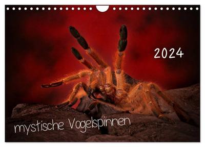 Mystische Vogelspinnen (Wandkalender 2024 DIN A4 quer), CALVENDO Monatskalender