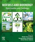 Biofuels and Bioenergy